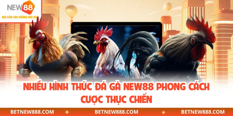 Nhiều hình thức đá gà NEW88 phong cách cược thực chiến